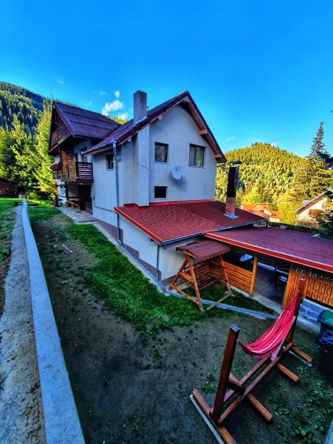 Cabana Denisa Rîu de Mori Εξωτερικό φωτογραφία